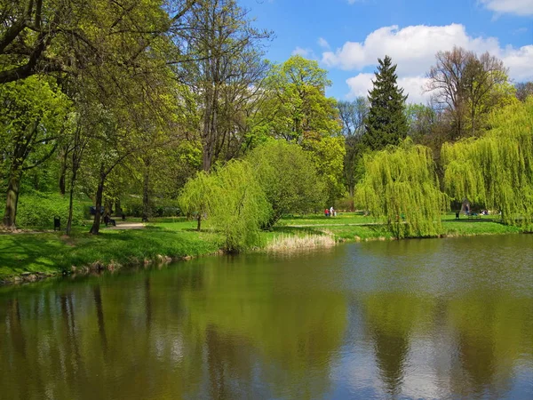 Temporada de primavera despertar la naturaleza hermoso paisaje — Foto de Stock