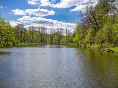 Güneşli bahar günü güzel park manzara