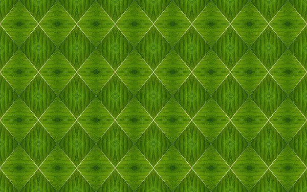 Taze yeşil yaprak detayları geometrik karo desen