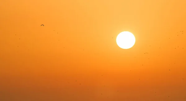 Zonsondergang op zee — Stockfoto