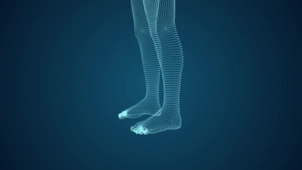 Human Legs Rendering — Stock Video