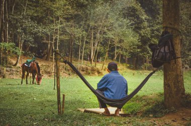 Çoban bir hamakta dinleniyor ve bir mera otlatma katırı izliyor. Kuzey Tayland yolculuğu. Lods mağara, Pai.