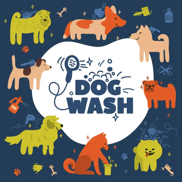 Illustrazione lavaggio cane — Vettoriale Stock