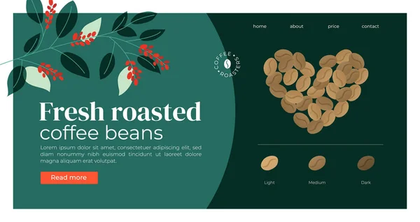 Vers geroosterde koffiebonen sjabloon — Stockvector