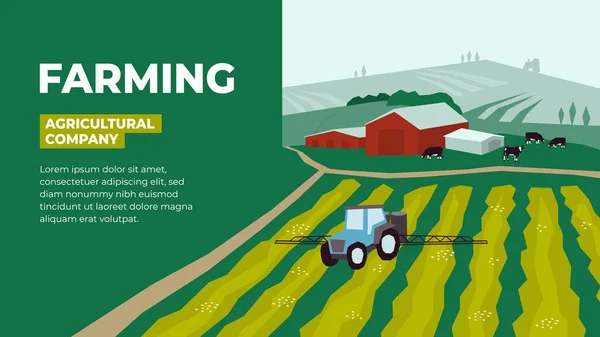 Plantilla agrícola con tractor de riego y vacas — Vector de stock