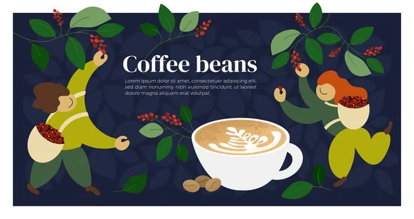 Coffee beans template with pickers — Stock Vector