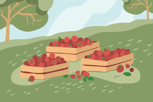 상자에 채소가 있습니다 과수원에서 사과를 모은다 수확하는 계절에 농장에서 토마토따는 — 스톡 벡터