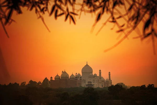 Távolsági Kilátás Taj Mahal Agra Uttar Pradesh — Stock Fotó