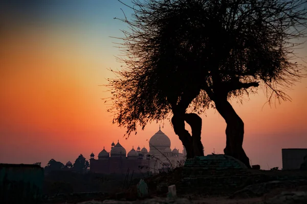 Taj Mahal Agra Uttar Pradesh Indie — Zdjęcie stockowe
