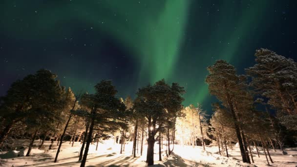 Norrskenet Aurora Borealis Nordlicht Polarlicht Norwegen Schweden Finnland — Stockvideo