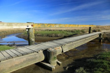 Kuzey denizi, okyanus, su, plaj, simge sel, Milli Park, Almanya, yaz, Sankt Peter-Ording, St. Peter-Ording