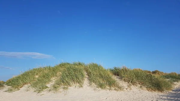 Mare Del Nord Oceano Acqua Spiaggia Punto Riferimento Parco Nazionale — Foto Stock