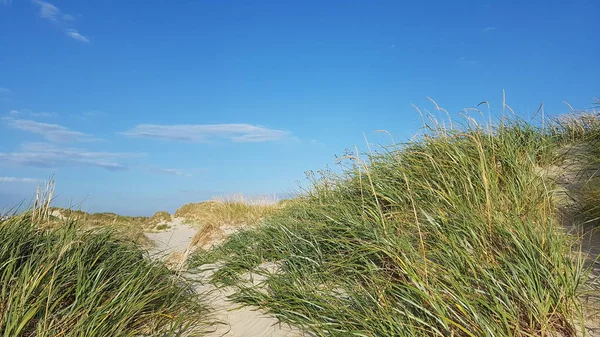 Mare Del Nord Oceano Acqua Spiaggia Punto Riferimento Parco Nazionale — Foto Stock