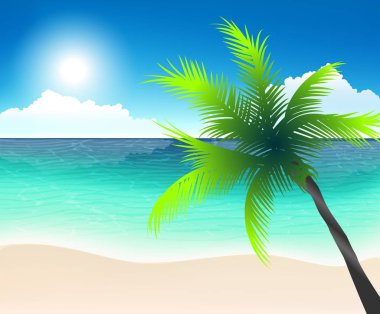 beyaz kum, turkuaz deniz ve palmiye ağacı