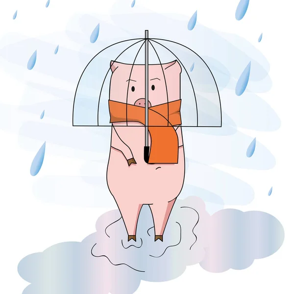 Piggy Umbrella Rain — Stock Photo, Image