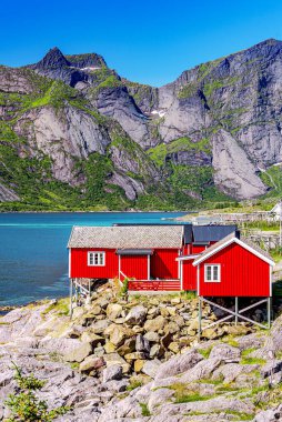 Lofoten Summer Landscape Lofoten Norveç 'in Nordland eyaletinde yer alan bir takımadadır. Dramatik dağları ve zirveleri olan kendine özgü bir manzarası var.