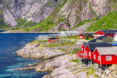 Lofoten Summer Landscape Lofoten Norveç 'in Nordland eyaletinde yer alan bir takımadadır. Dramatik dağları ve zirveleri olan kendine özgü bir manzarası var.