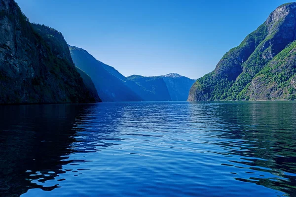 Letni Fiord Sognefjord Norwegii — Zdjęcie stockowe