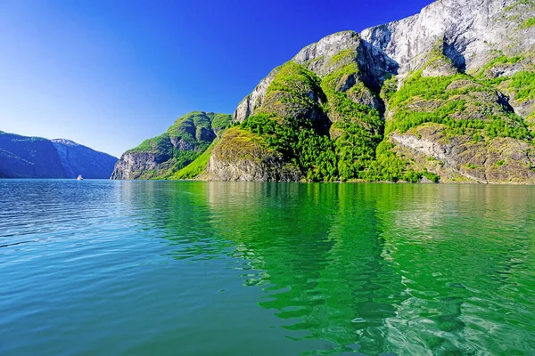 Summer Sognefjord Fjord Norway — Stock Photo, Image