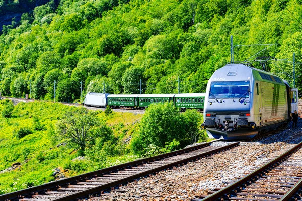 Comboio Famosa Linha Ferroviária Flam Vale Flam Noruega Fotos De Bancos De Imagens