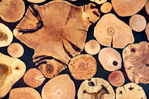 Сучасний художній фон з дерев'яних гілок . — стокове фото