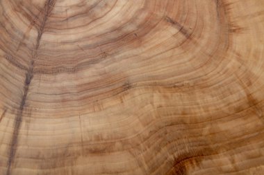 Ahşap ahşap doğal dilim gibi arka plan.