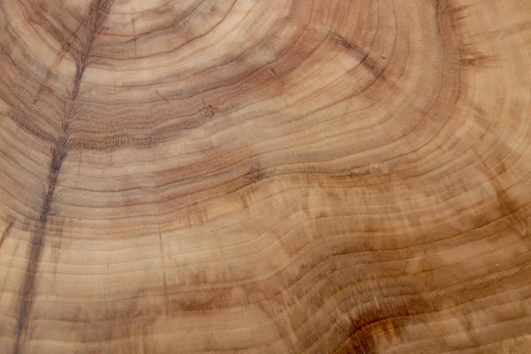 Ahşap ahşap doğal dilim gibi arka plan.