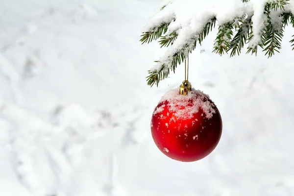 Kerst bal in de sneeuw met een vuren tak — Stockfoto