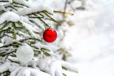 Ladin Şubesi ile kar üzerinde Noel topları