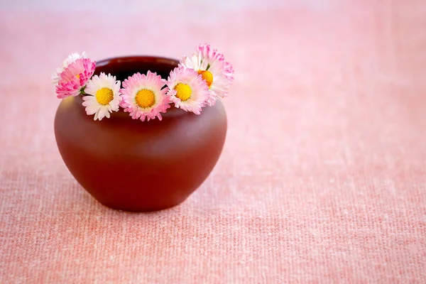 カモミールの花束は、土鍋 — ストック写真
