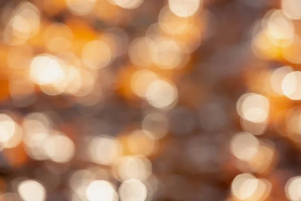 Autumn bright orange background with bokeh. — Stock Photo, Image