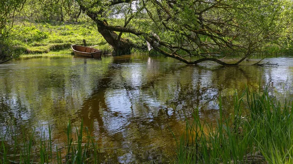 Lente landschap op de rivier — Stockfoto