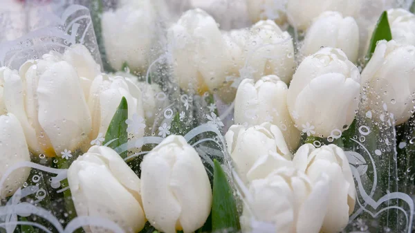 Hermoso blanco fresco para las mujeres — Foto de Stock