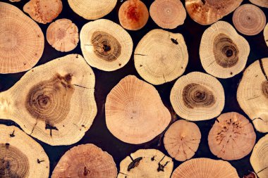 El ile yapılan ahşap bir masa üstü parçası. Cilalı ve Lake meşe ve willows bir yapıya sahip. Arka plan ağaç tükürür oluşur. Spili farklı şekiller var. Herhangi bir tasarım için