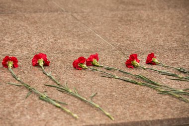 red carnations as a tribute lie red on granite clipart