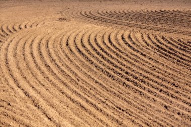 Taze sürülmüş alan, sahada daireler
