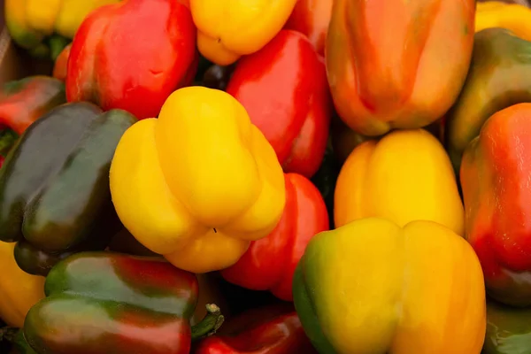 fresh multicolored bell pepper background