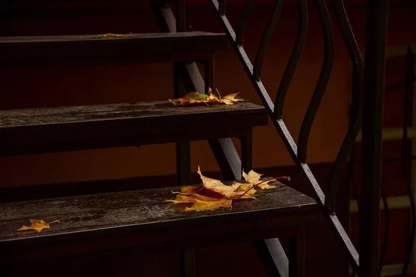 Σκάλες, πεσμένα κίτρινα φύλλα σφενδάμου. — Φωτογραφία Αρχείου