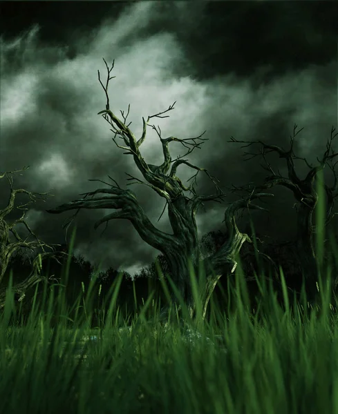 Floresta Assustadora Ilustração — Fotografia de Stock