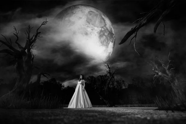 Mulher Fantasma Vestido Branco Floresta Assustadora Ilustração — Fotografia de Stock
