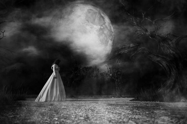 Ghost woman in white dress in Creepy forest,3d illustration