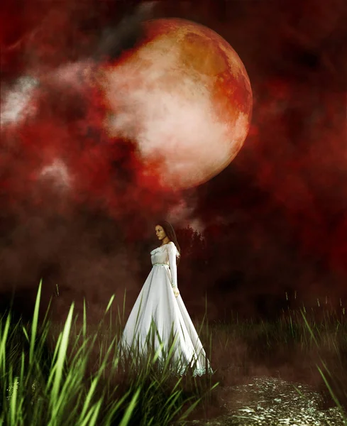 Женщина Призрак Белом Платье Жутком Лесу Иллюстрация — стоковое фото