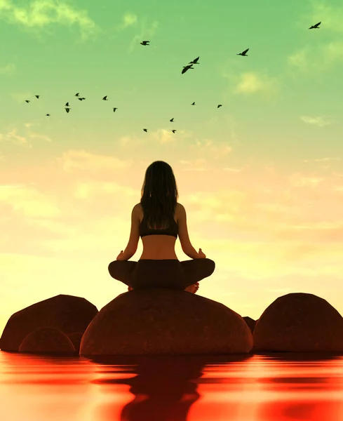 シルエット女性瞑想ヨガ海で石の上の イラストレーション — ストック写真