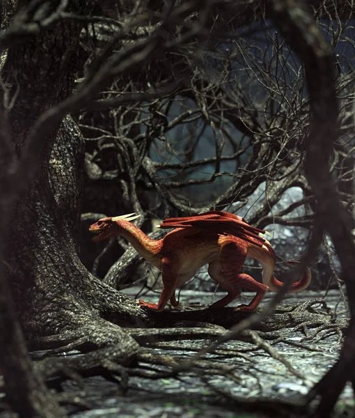 Dragon Dans Une Forêt Effrayante Rendu Pour Couverture Livre Illustration — Photo