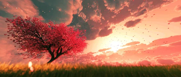 日の出や日没の空 レンダリングで桜の木の花の背景 天の庭 — ストック写真