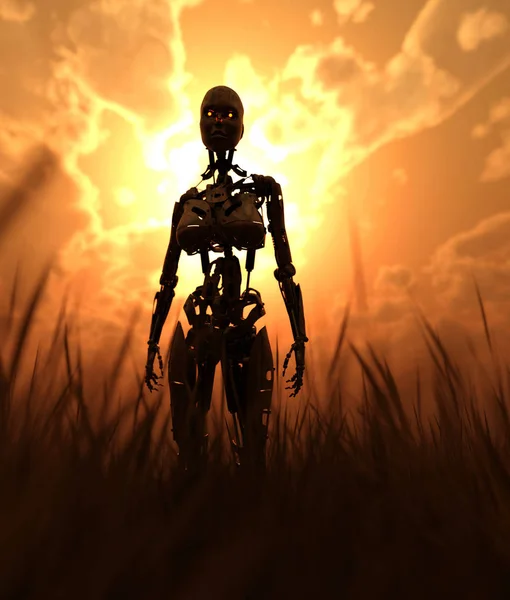 Robot in field with sunlight from behind,fantasy conceptual 3d illustration background