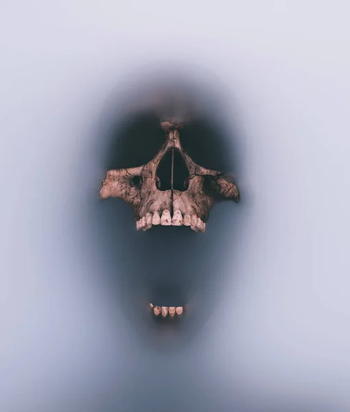 Evil Skull Try Come Out Other Dimension Rendering — стоковое фото