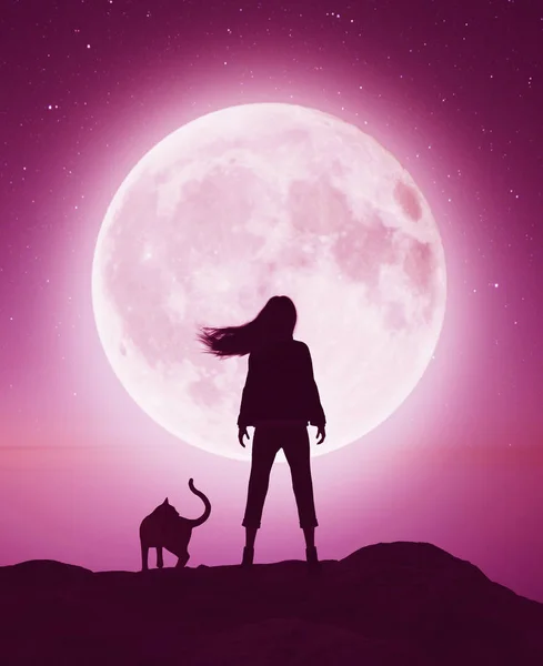 Ragazza Con Gatto Sulla Scogliera Guardando Luna Rendering — Foto Stock