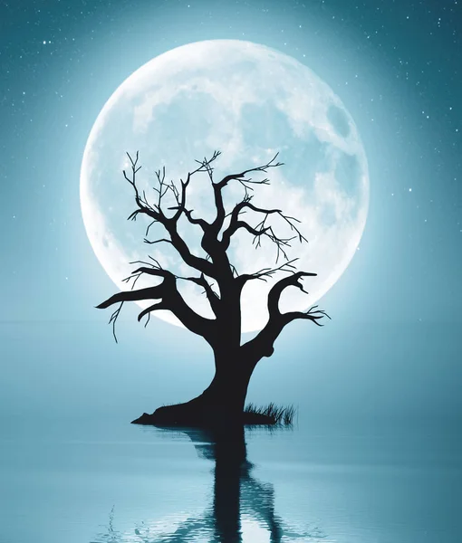 3d renderização de solitário árvore morta na paisagem da água — Fotografia de Stock