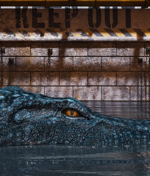 Alligator's tank please keep out — Stock Photo, Image